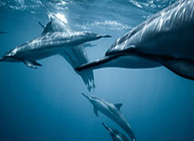 开云登录入口地址-加时险胜火箭迎赛季首胜 开拓者仍暴露两大短板